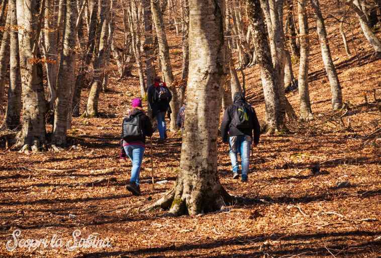 attrezzatura zaino trekking nel lazio escursioni in sabina