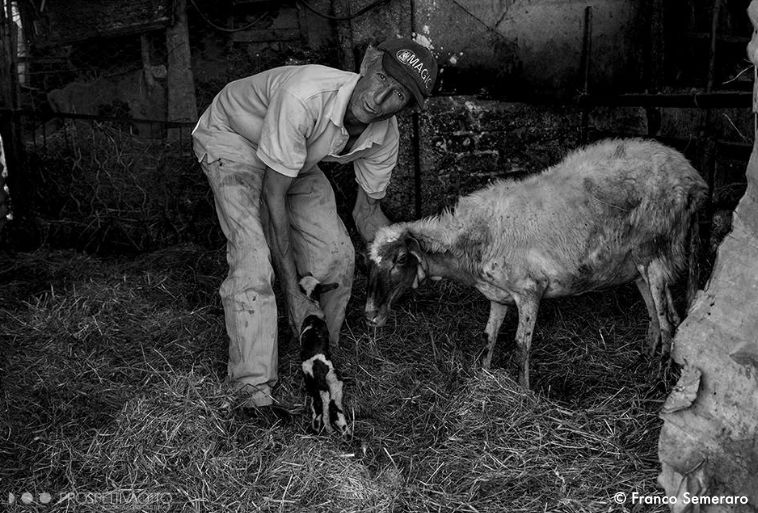 franco semeraro fotografia collevecchio - prospettiva8