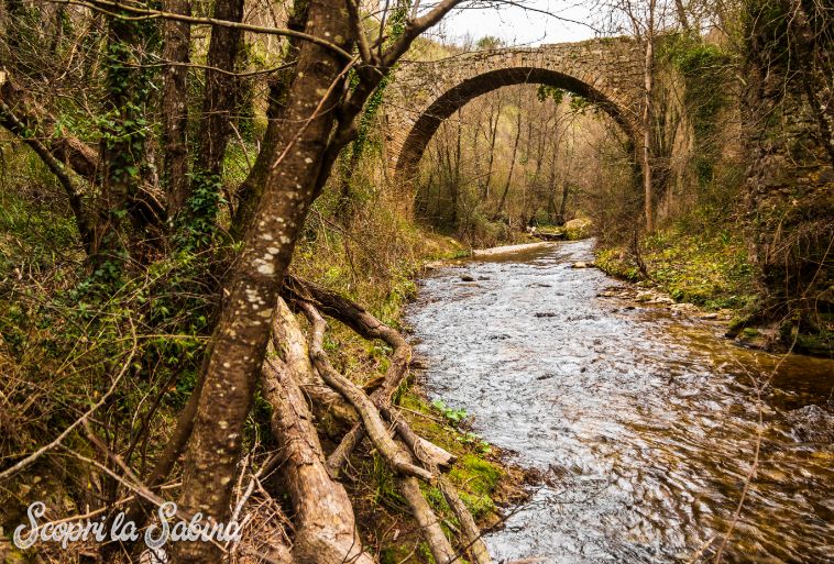 gole del farfa trekking lazio ponte romano