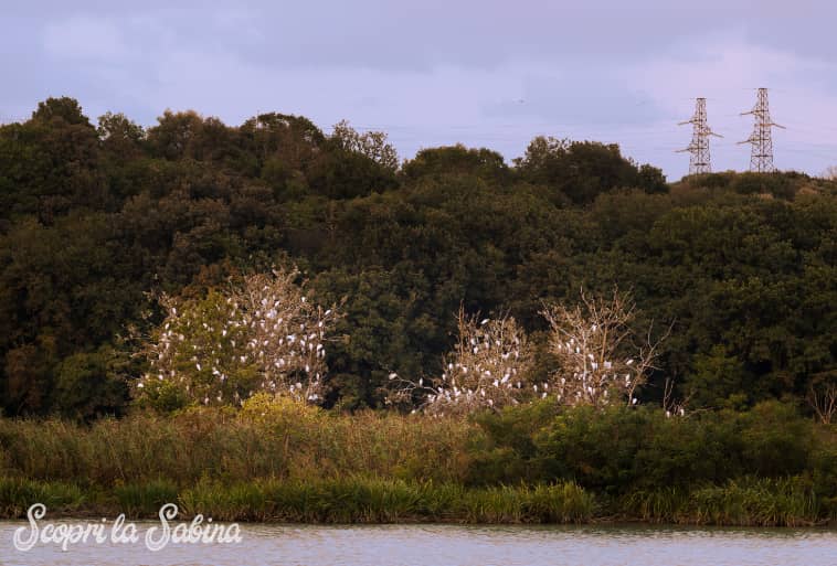 Riserva naturale Nazzano Tevere-Farfa