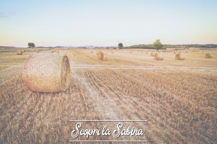 Scegliere un agriturismo in Sabina